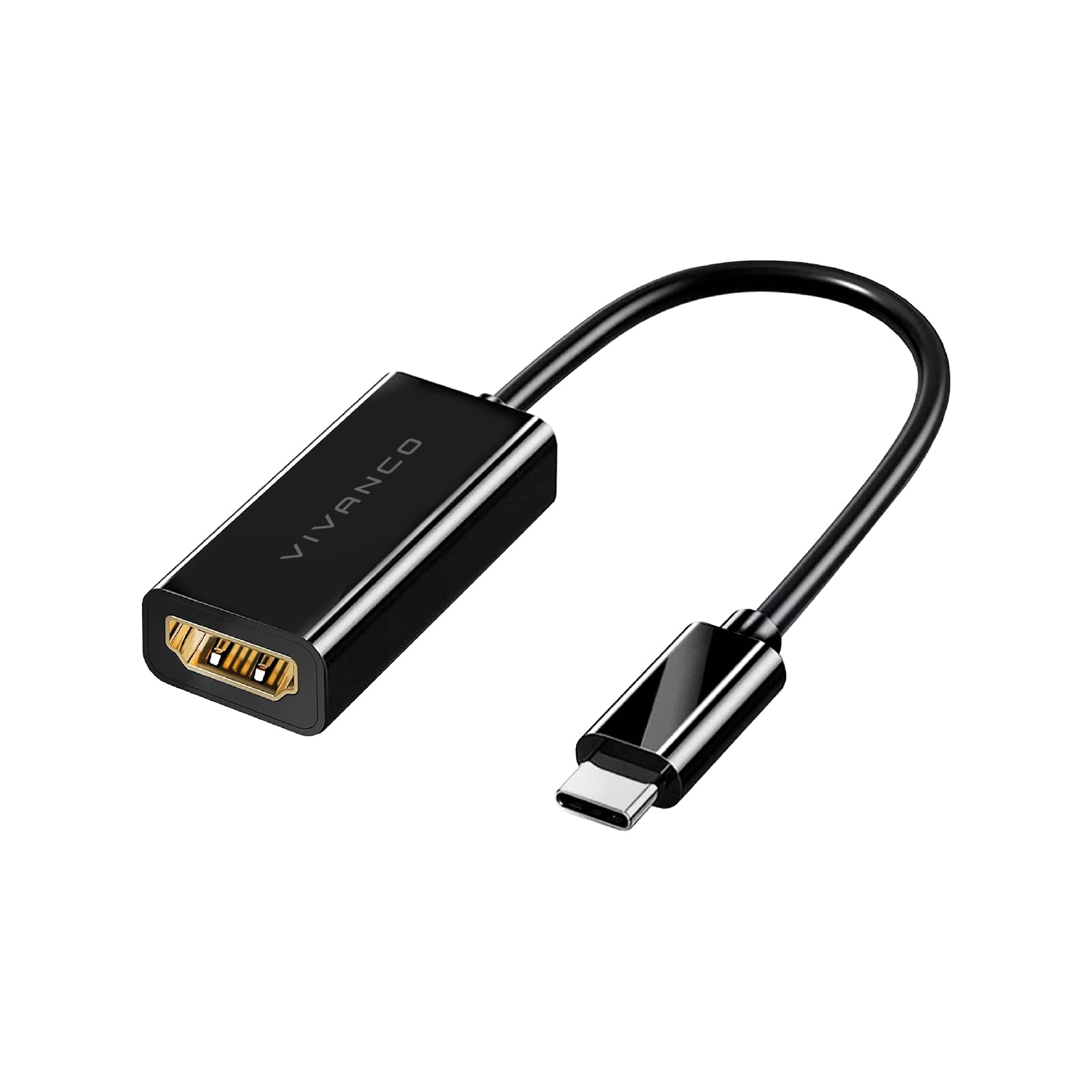 Adaptateur USB-C vers DisplayPort 0,1 m